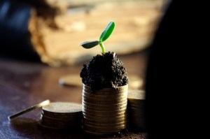 coins-with-a-plant-sprouting-out-to-represent-the-seed-of-motivation-money-provides